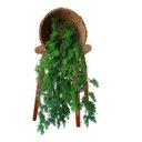 Ver imagem 6 de 6 Galhos de Planta Artificial Pendente 75cm Verde Natural para Decoração