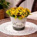 Ver imagem 3 de Arranjo Planta Jardim Artificial Decoração Centro Mesa 15cm
