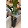 Vaso Decorativo Fibra de Vidro Florida M 80cm Preto - 5
