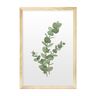 Quadros Grande Folhagens Ramos Verde Natureza com Moldura - 1