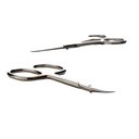 Ver imagem 2 de Tesoura Pequena para Unhas Ponta Curva Inox