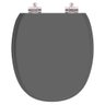 Assento Sanitario Poliester Soft Close Ascot Quartzo (cinza Escuro) para Vaso Ideal Standard - 1