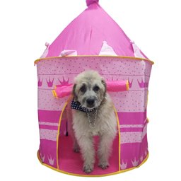 Barraca Castelo Das Princesas Infantil Menina Dobravel Grande Tenda Crianças - 9