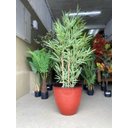 Ver mais imagens de Vaso para Plantas Grande Decorativo Sala Jardim Alto Brilho e Leve (liso/vermelho)
