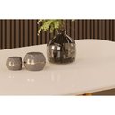 Ver imagem 2 de Conjunto: Mesa de Cozinha Celeste C/ Tampo Madeirado C/ Vidro Curvo 120x90cm e 4 Cadeiras Talia