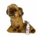 Ver imagem 4 de Kit Pipi Pode Educador Sanitário + Rolo de Papel 60cm X 25m