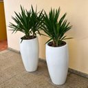 Ver imagem 4 de Vaso Fibra de Vidro Atenas m 67cm Decorativo Branco Brilho