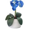 Arranjo de Orquídea flor artificial no vaso - Azul - 2