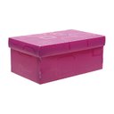 Ver imagem 3 de Caixa Organizadora Mini Sapato Dello:cristal