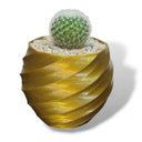 Ver imagem 1 de Vaso Vasinho Decorativo 3D Suculentas Moderno Cacto Cachepot - Vaso Espiral