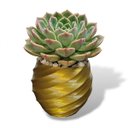 Ver imagem 5 de Vaso Vasinho Decorativo 3D Suculentas Moderno Cacto Cachepot - Vaso Espiral