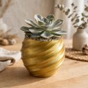 Ver imagem 4 de Vaso Vasinho Decorativo 3D Suculentas Moderno Cacto Cachepot - Vaso Espiral