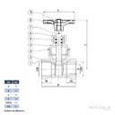 Ver imagem 2 de Registro Gaveta 3/4 Padrão Saneamento Nbr 14580 Latão Forjado Niquelado Industrial Ivm Italy
