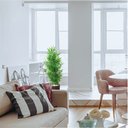 Ver imagem 5 de Planta Artificial Árvore Bambu Japonês 1,30 Metros de Altura