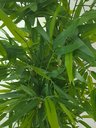 Ver imagem 2 de Planta Artificial Árvore Bambu Japonês 1,30 Metros de Altura