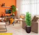 Ver imagem 3 de Planta Artificial Árvore Bambu Japonês 1,30 Metros de Altura