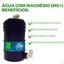 Ver mais imagens de Purificador de Água Gelada Alcalina Ionizada C/ Magnésio Mg+ Voltagem:127v;cor:branco