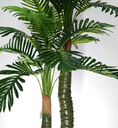 Ver imagem 2 de Árvore Planta Verde Palmeira 150cm Real Coqueiro Artificial
