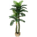 Ver imagem 1 de Árvore Planta Verde Palmeira 150cm Real Coqueiro Artificial