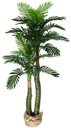 Ver imagem 1 de Árvore Planta Verde Palmeira 150cm Real Coqueiro Artificial