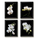 Ver imagem 1 de Kit 4 Quadros Florais Fotografias Orquídeas 24x18cm:madeira Preta