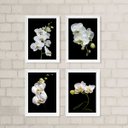Ver imagem 2 de Kit 4 Quadros Florais Fotografias Orquídeas 24x18cm:madeira Preta