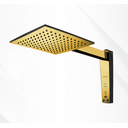 Ver imagem 1 de Chuveiro Acqua Century Preto | Dourado 127v