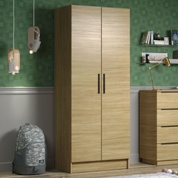 Módulo Guarda-Roupa Madesa Nilo 100% MDF 1684 2 Portas Carvalho Cor:Carvalho - 1