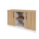 Ver imagem 4 de Armário Baixo Escritório 120cm x 45cm 2 Portas com Chave e 3 Prateleiras Corporate F5 Office Bege/Ma