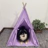 Cabana Pet Camping Cachorro Gato - Algodão Liso - 70x70x84cm - Lilás Claro - 2