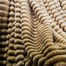 Cobertor Queen Fluffy Manta Flannel Ultrasoft Gold - 3