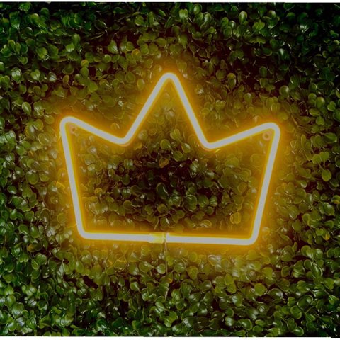 Luminária de Parede Coroa Led Neon 25cm 3D Gold Print 110V-220V