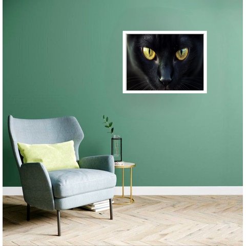 Quadro Decorativo Gato Preto Olhos - 50x70cm:moldura Branca