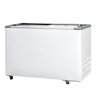 Freezer Conservador Horizontal Fricon 411 Litros Baixa Temperatura Tampa de Vidro Branco Hceb 411 V - 2