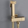 Ducha Higiênica Dourado Escovado Completa Banheiro Lavabo - 1