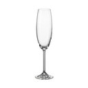 Ver imagem 2 de Kit 6 Taça Champagne Gastro Bohemia Cristal Flute 230ml - Bohemia Boehmia