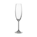 Ver imagem 2 de Jogo 6 Taça Champagne Gastro Bohemia Cristal Flute 230ml - Bohemia BOEHMIA