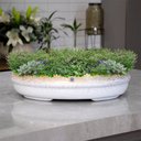 Ver imagem 2 de Vaso Bacia Decorativo Osaka Branco Gold Vietnamit G 16 Cm B02 - D’Rossi