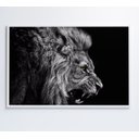 Ver imagem 1 de Quadro Leão Preto e Branco - 60x40 Cm - Vidro Impresso