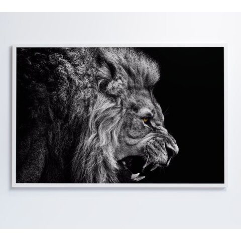 Quadro Leão Preto e Branco - 60x40 Cm - Vidro Impresso