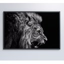 Ver imagem 4 de Quadro Leão Preto e Branco - 60x40 Cm - Vidro Impresso