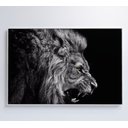 Ver imagem 5 de Quadro Leão Preto e Branco - 60x40 Cm - Vidro Impresso