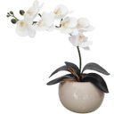 Ver imagem 1 de Arranjo 1 Flor Orquídea Real Branca Delicada Vaso Bege