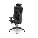 Ver imagem 3 de Cadeira Presidente Darix X+ Base Nylon Piramidal Slider Assento e Encosto Tela Braços 3d