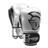 Luva de Boxe Pretorian Elite 10oz Cor Silver - 2