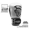 Luva de Boxe Pretorian Elite 10oz Cor Silver - 4