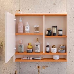 Espelheira Suspensa para Banheiro Closet Porta e Armário Acqua com Nicho - 3
