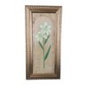 Elegância Floral Atemporal: Quadro Decorativo "lírio" com Moldura Dourada - 1