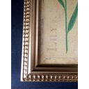 Ver imagem 4 de Elegância Floral Atemporal: Quadro Decorativo "lírio" com Moldura Dourada