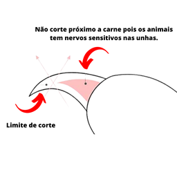 Alicate para Cortar Unha Cães e Gatos Com Mola Inox Pet ninho ALICATE PARA CÃES E GATOS Azul - 6